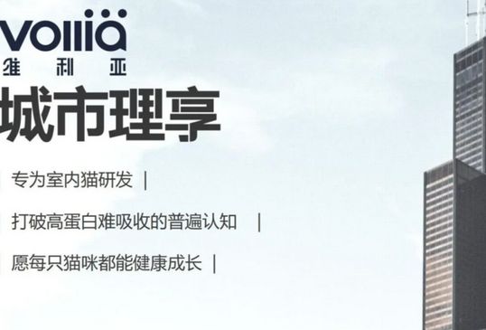 城市理享｜愿每只猫咪健康成长，是我们的理想