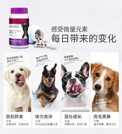 宠物营养：小狗微量元素补充攻略