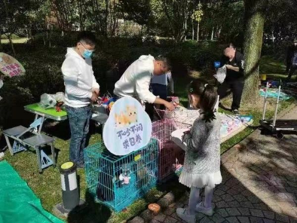 上海宠物救助站救助大家捡到的流浪猫狗