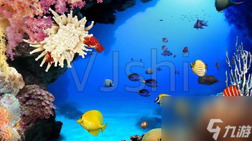 水族馆像素恐怖游戏攻略(水族馆人像)