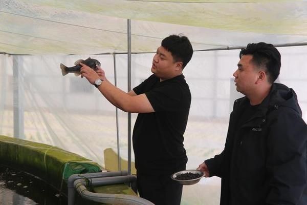 定兴县有多家专门销售鱼缸的店铺和水族馆是相关信息：定兴县多家专门销售鱼缸的店铺和水族馆是相关的信息