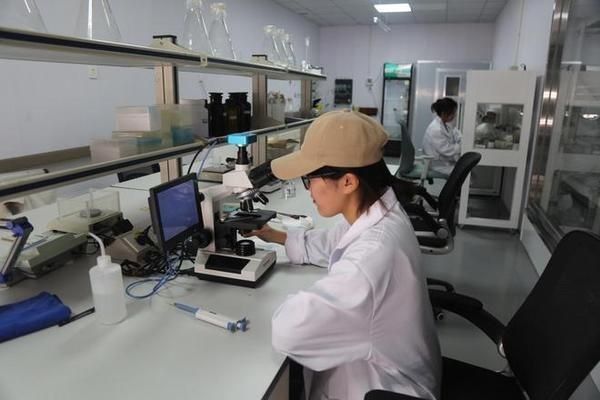 定兴县有多家专门销售鱼缸的店铺和水族馆是相关信息：定兴县多家专门销售鱼缸的店铺和水族馆是相关的信息