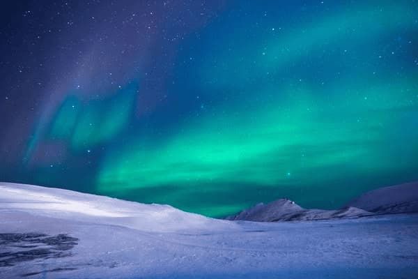 推荐稀有小型宠物犬有哪些，推荐稀有小型宠物犬有哪些品种