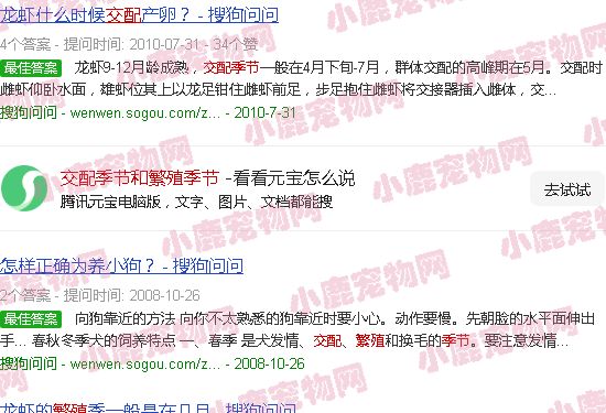 交配季节和繁殖季节