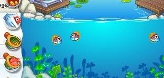 宠物小鱼养护指南？如何让你的小鱼健康快乐