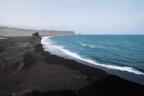 大型宠物犬有哪些品种，大型宠物犬有哪些品种图片