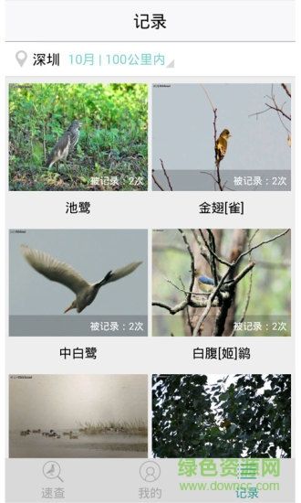 拍照识鸟app(中国野鸟速查) v3.0 安卓版 1
