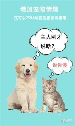 猫狗语音识别器下载