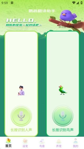 鹦鹉翻译助手