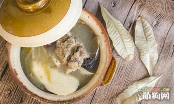 狗狗缺钙怎么办，怎么给狗狗补钙？