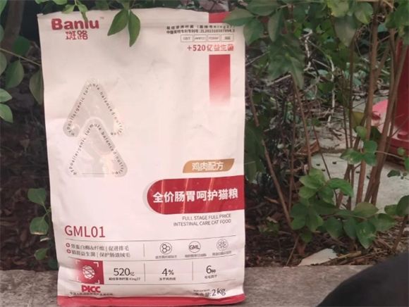 猫咪肠胃养护秘籍:斑路GML01猫粮测评