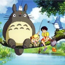 米色龙猫养护秘籍：科学喂养，健康相伴！