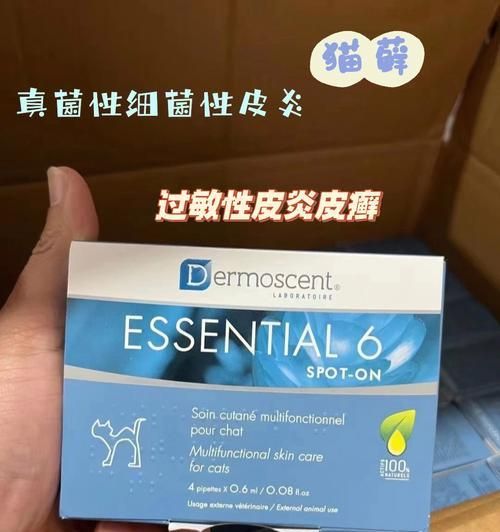 狗皮肤过敏的处理方法（药物治疗和预防狗皮肤过敏的关键）