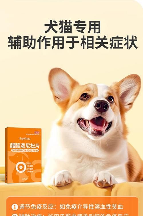 狗皮肤过敏的处理方法（药物治疗和预防狗皮肤过敏的关键）