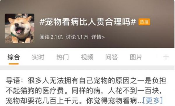 国内宠物医疗现状，给宠物看病有多贵？