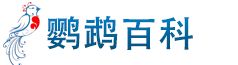 鹦鹉百科