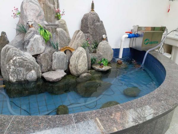 重庆宠物兔出售 憨态迷人型