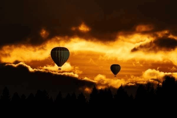 如何饲养拉布拉多犬，如何饲养拉布拉多犬,6大注意事项!