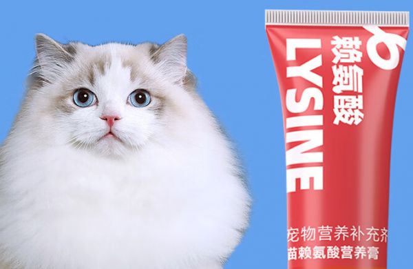 宠物营养补充推荐:宠安仕给猫咪全方位的营养守护