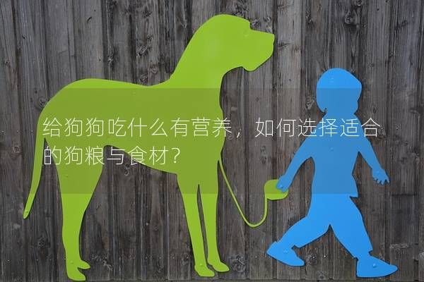给狗狗吃什么有营养，如何选择适合的狗粮与食材？