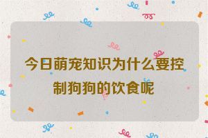 今日萌宠知识为什么要控制狗狗的饮食呢