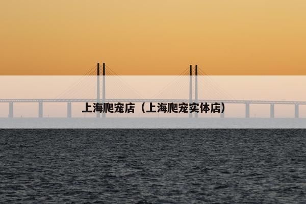 上海爬宠店（上海爬宠实体店）