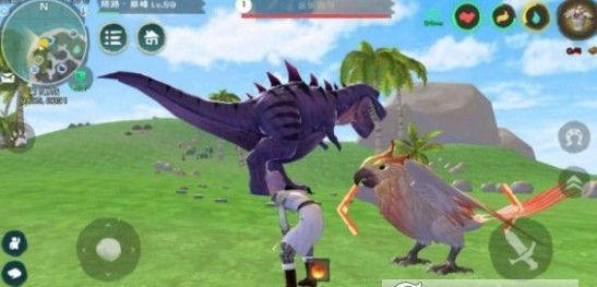 分享《创造与魔法》云斑鹦鸟饲料的制作方法。