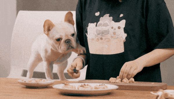 自制狗粮的害处