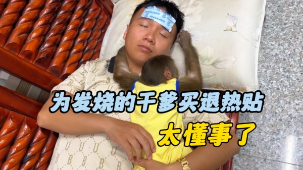 Thumbplayer Poster Plugin Image