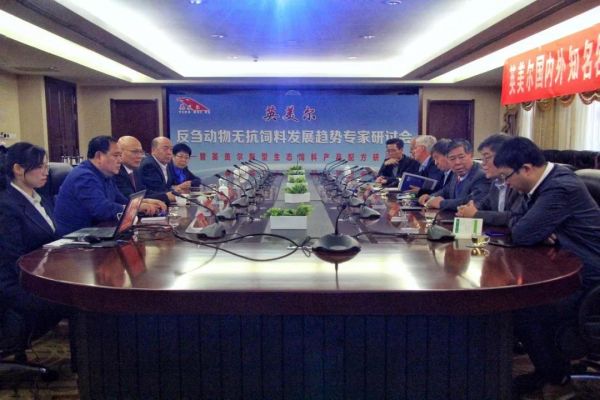 催肥羊饲料配方催肥羊饲料配方大全诚信推荐