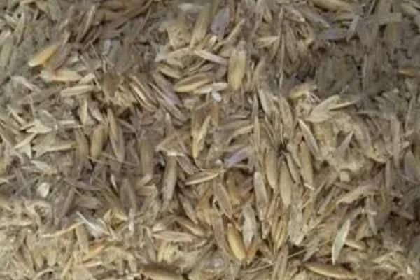 羊饲料配方，育肥前期和后期的配方不同