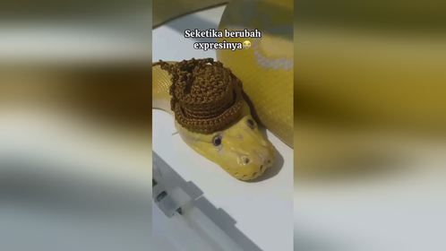 别歪头，说的就是你。