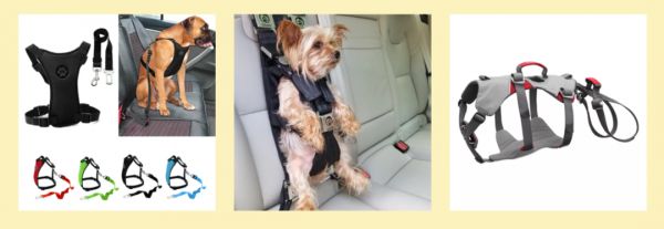 小众汽配产品第二弹!汽车上的宠物用品市场潜力解析