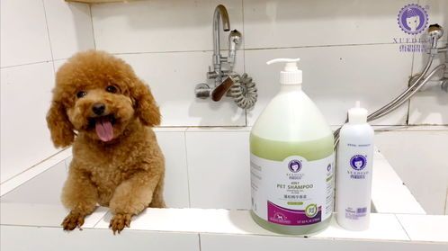 宠物狗沐浴露该怎么选择