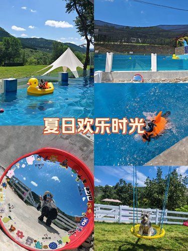 购宠潮流新品,萌宠配饰超萌