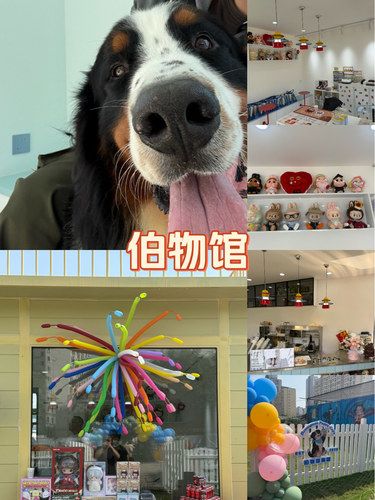 伯物馆开业了[点赞]