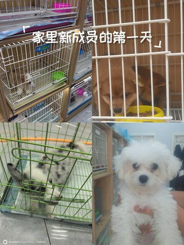 服务超有耐心环境超愉悦身心咯