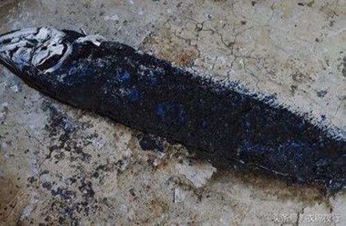 实拍男子将宠物金鱼死后送去火化，网友戏称：隔着屏幕都闻到香味