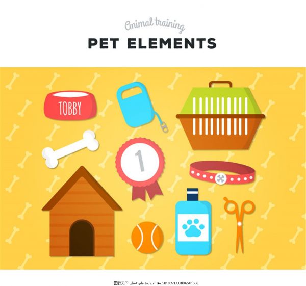 10款精致宠物训练用品矢量素材