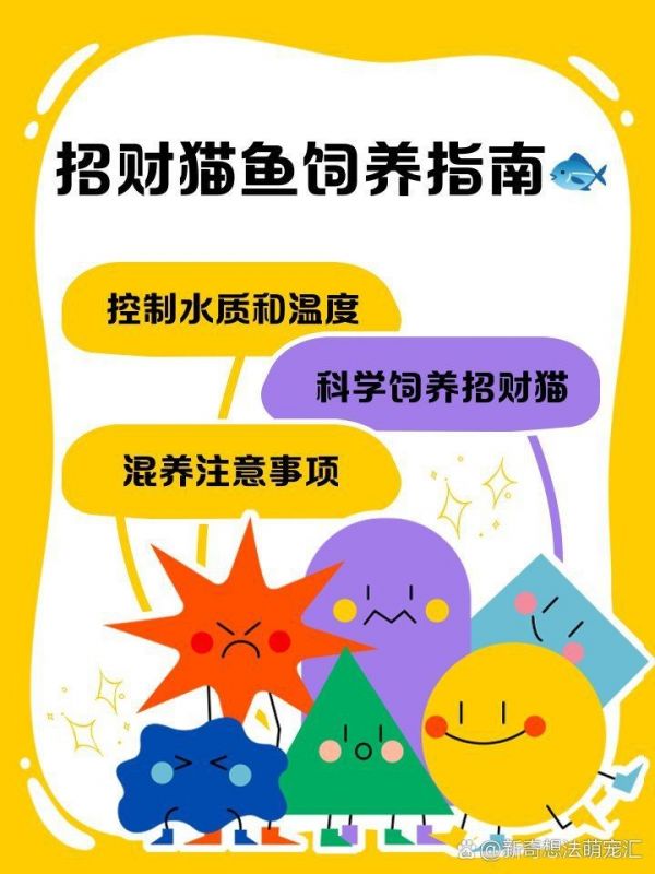 狗仔招财猫鱼最简单三个步骤|狗仔招财猫鱼最简单三个步骤展开，清晰且易于操作