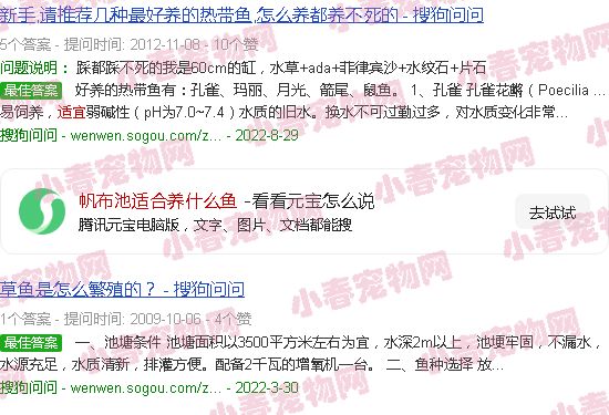 帆布池适合养什么鱼