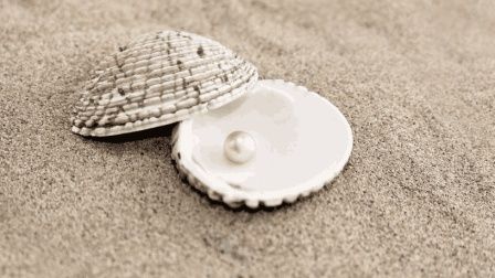 12星座的眼泪是什么化成的? 双鱼座是珍珠!