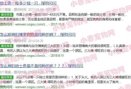 火烧3个小奶狗视频