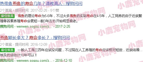 燕鱼寿命