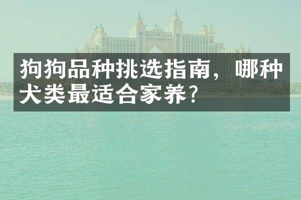 狗狗品种挑选指南，哪种犬类最适合家养？