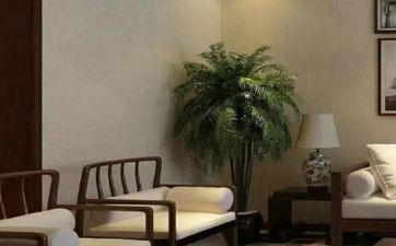 院子里建龟池风水好不好 院子里养乌龟用不用看风水