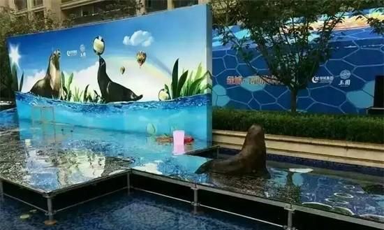 北朱雀的养殖技巧（掌握北朱雀的饲养要点，让你养出健康的小鸟）