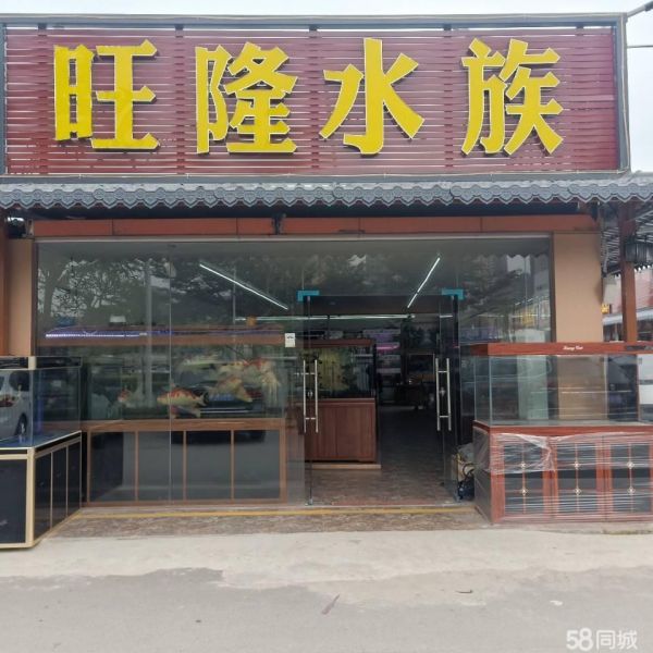 店主头像