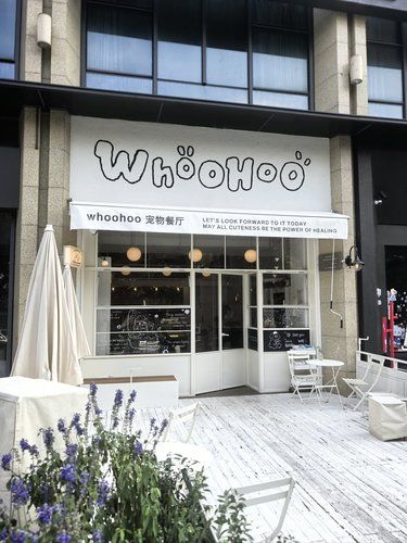 谁说拍照打卡不能安静？