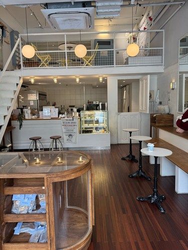 超可爱小狗咖啡厅！拜见狗狗大王